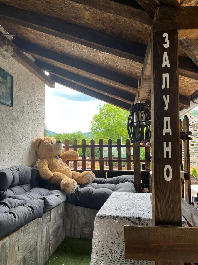 Vila Milica & Spa Aleksandra Dimitrovgrad Exterior foto